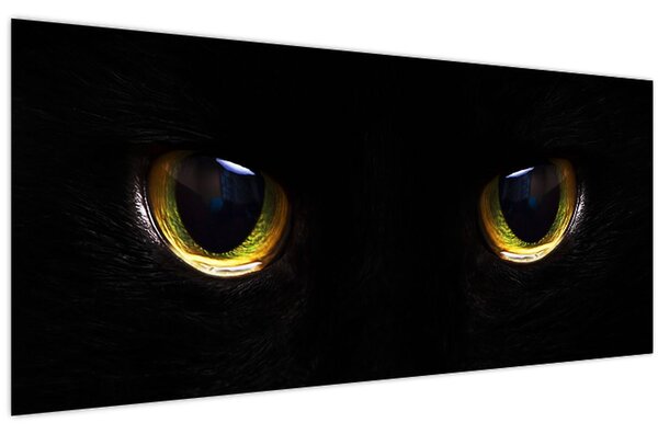 Slika - mačje oči (120x50 cm)