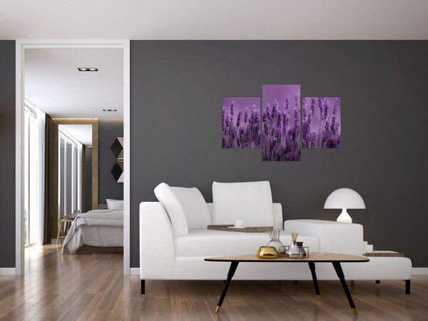 Slika - Lavanda (90x60 cm)