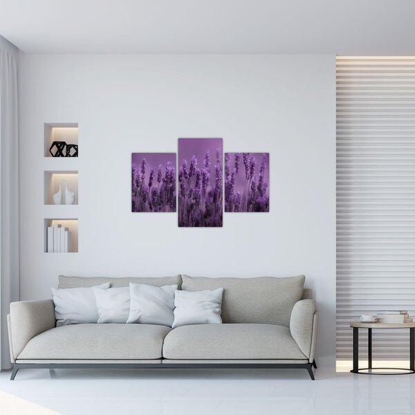 Slika - Lavanda (90x60 cm)