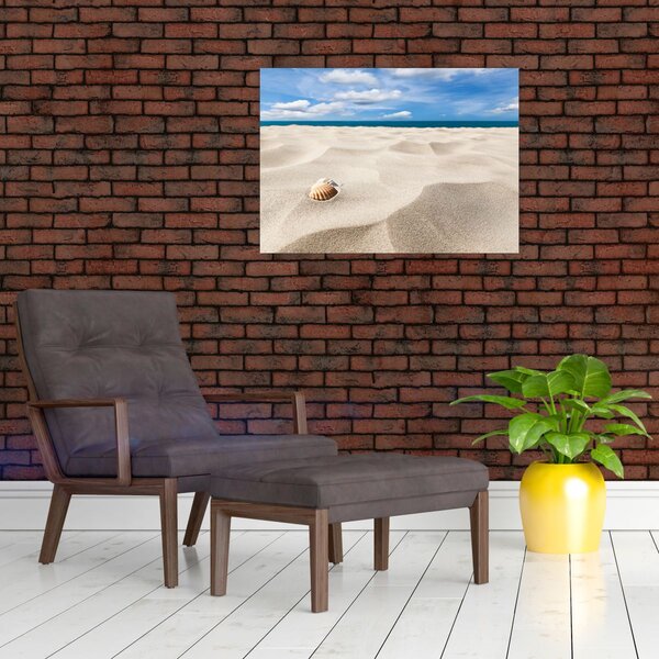 Slika - Školjke na plaži (70x50 cm)