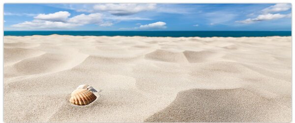 Slika - Školjke na plaži (120x50 cm)