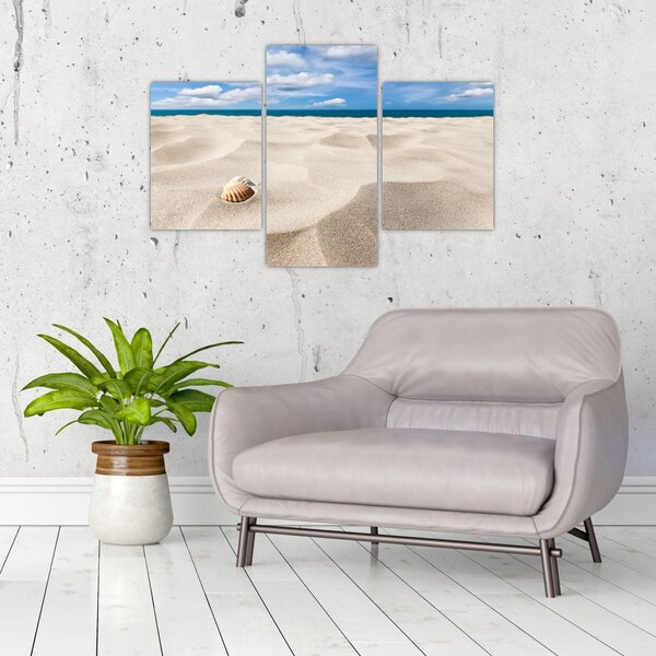 Slika - Školjke na plaži (90x60 cm)