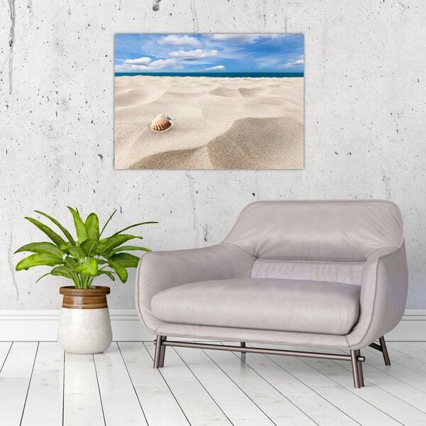 Slika - Školjke na plaži (70x50 cm)