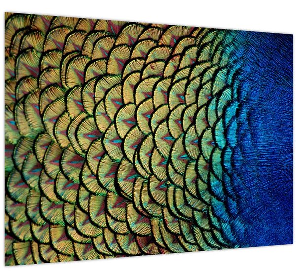 Slika - Paunovo perje (70x50 cm)