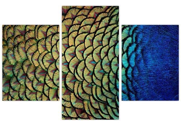 Slika - Paunovo perje (90x60 cm)