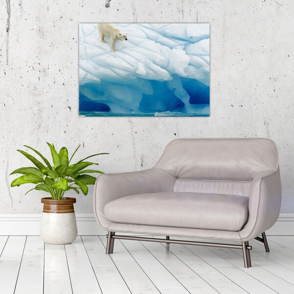 Slika - Polarni medvjed (70x50 cm)