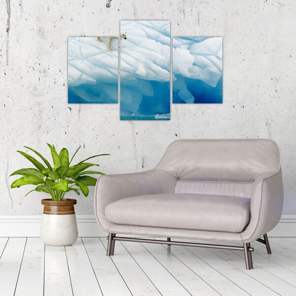 Slika - Polarni medvjed (90x60 cm)