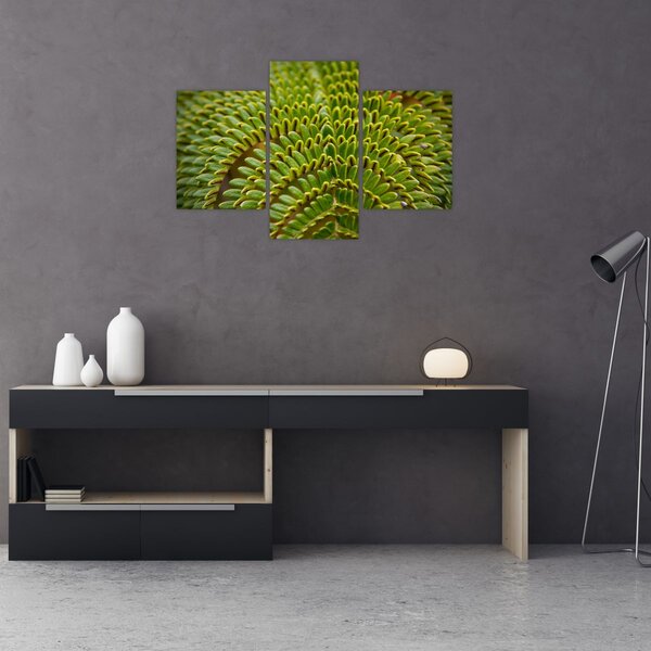 Slika - Paprat (90x60 cm)