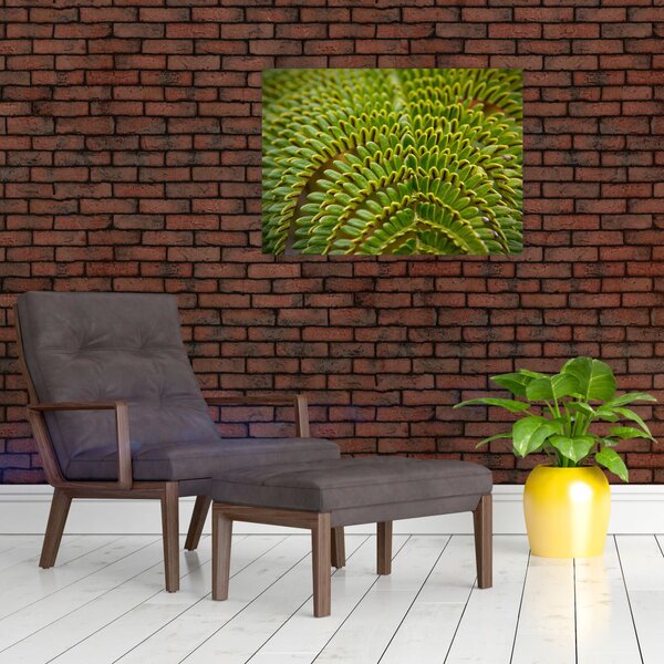 Slika - Paprat (70x50 cm)