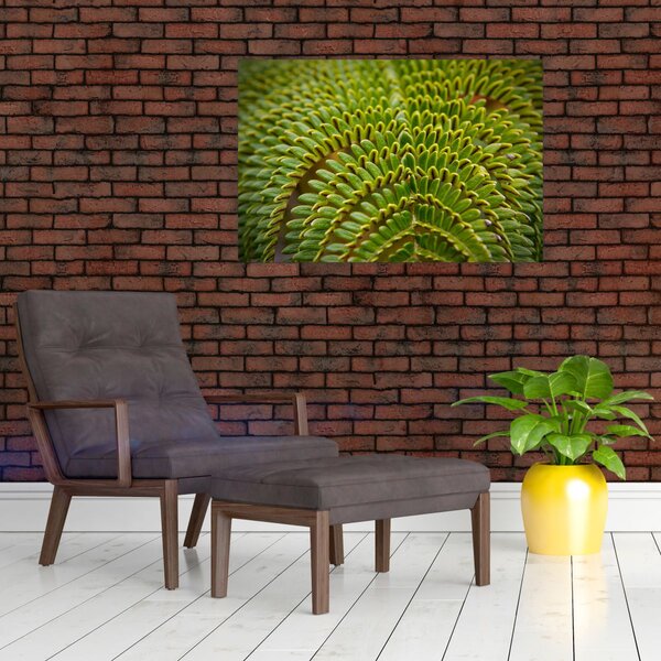 Slika - Paprat (90x60 cm)