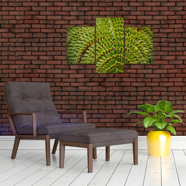 Slika - Paprat (90x60 cm)