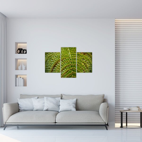 Slika - Paprat (90x60 cm)
