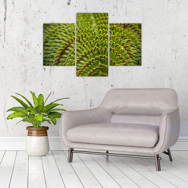 Slika - Paprat (90x60 cm)