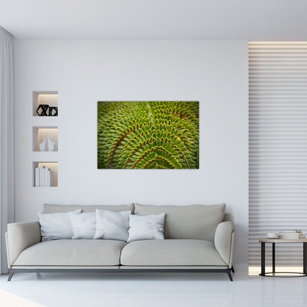 Slika - Paprat (90x60 cm)