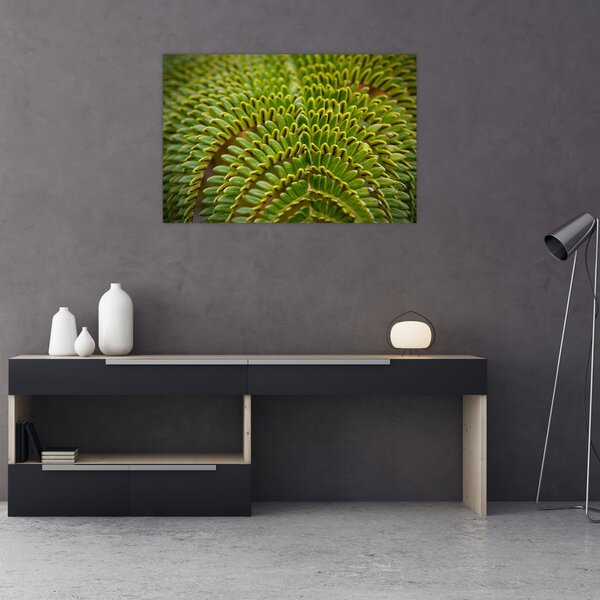 Slika - Paprat (90x60 cm)