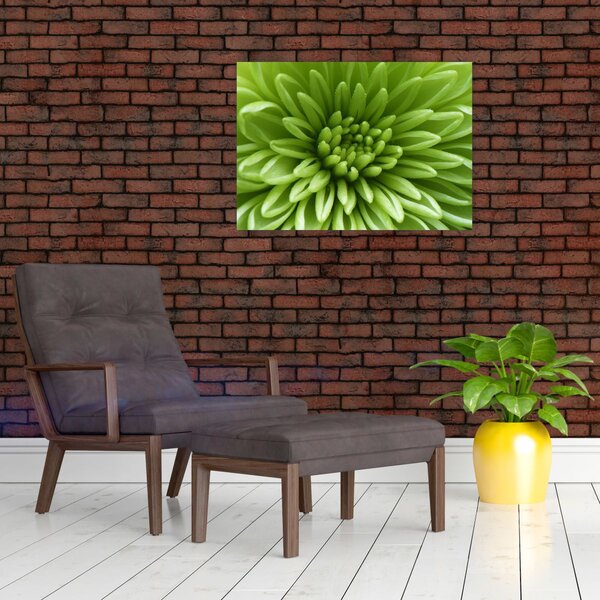 Slika - Makro slika biljke (70x50 cm)