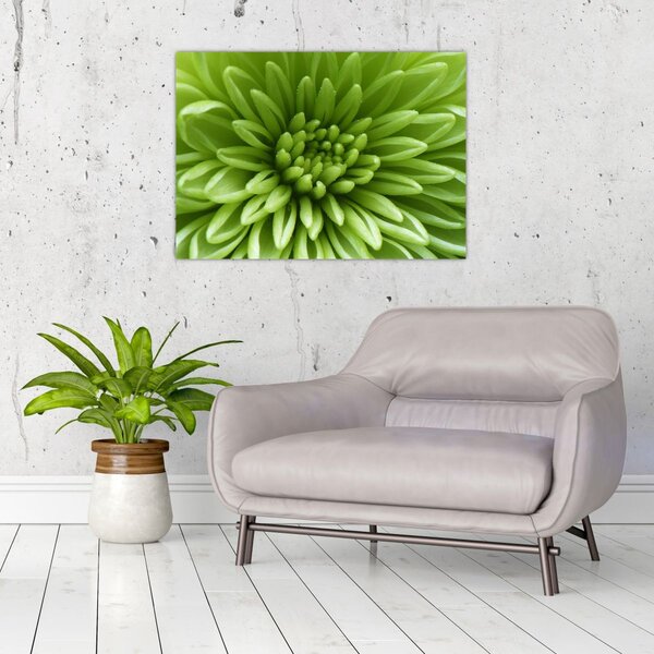 Slika - Makro slika biljke (70x50 cm)
