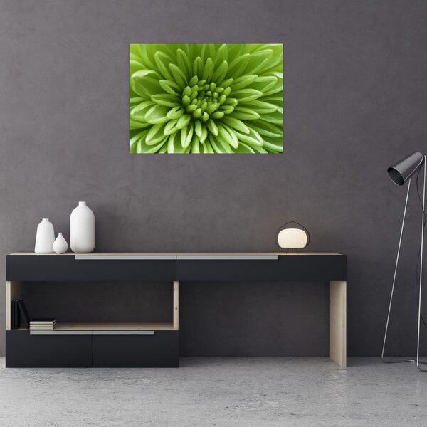 Slika - Makro slika biljke (70x50 cm)