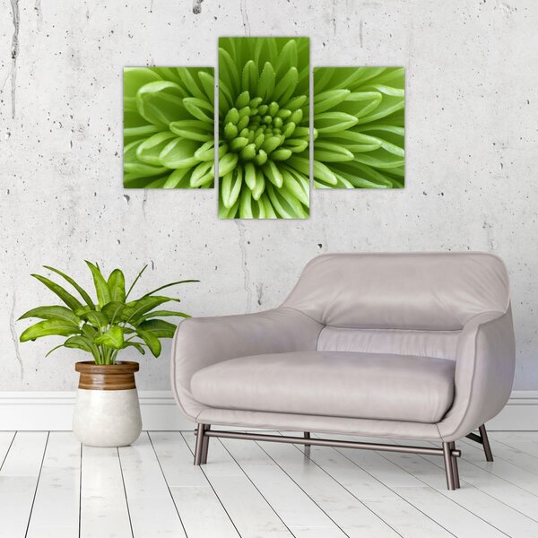 Slika - Makro slika biljke (90x60 cm)
