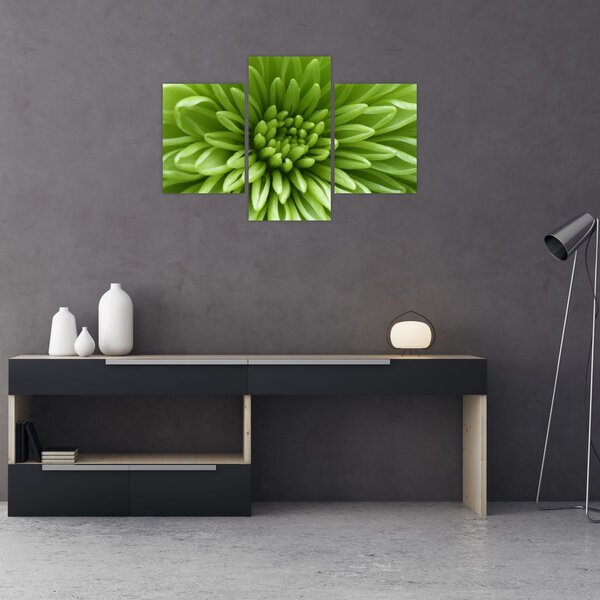 Slika - Makro slika biljke (90x60 cm)