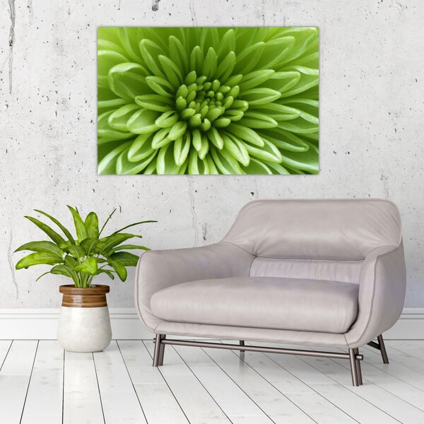 Slika - Makro slika biljke (90x60 cm)