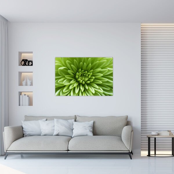 Slika - Makro slika biljke (90x60 cm)