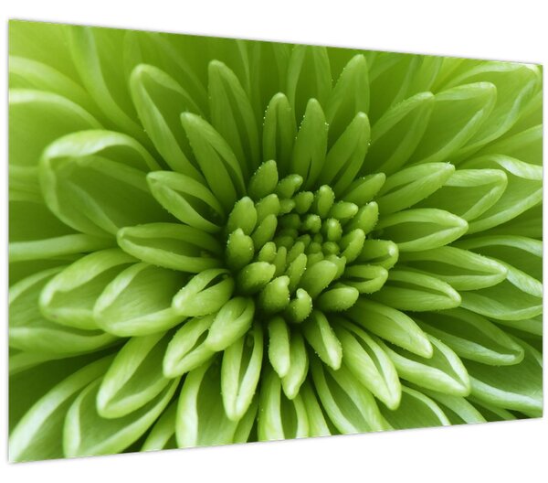 Slika - Makro slika biljke (90x60 cm)
