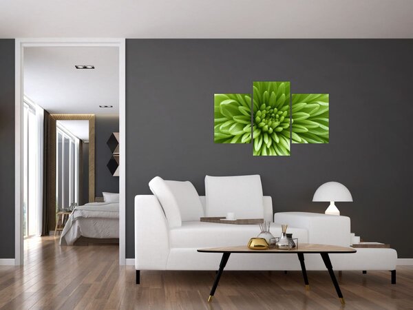 Slika - Makro slika biljke (90x60 cm)