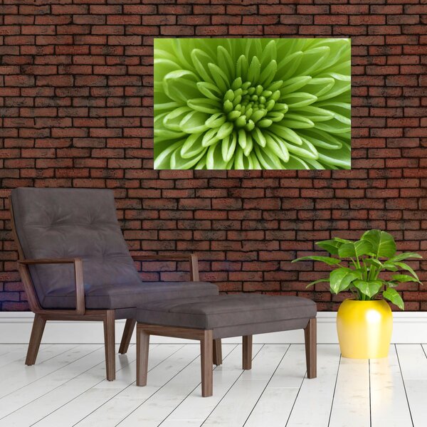 Slika - Makro slika biljke (90x60 cm)