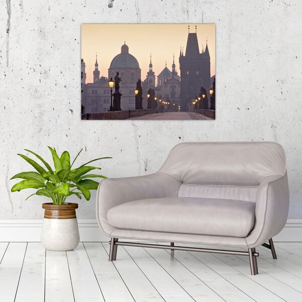 Slika - Karlov most (70x50 cm)