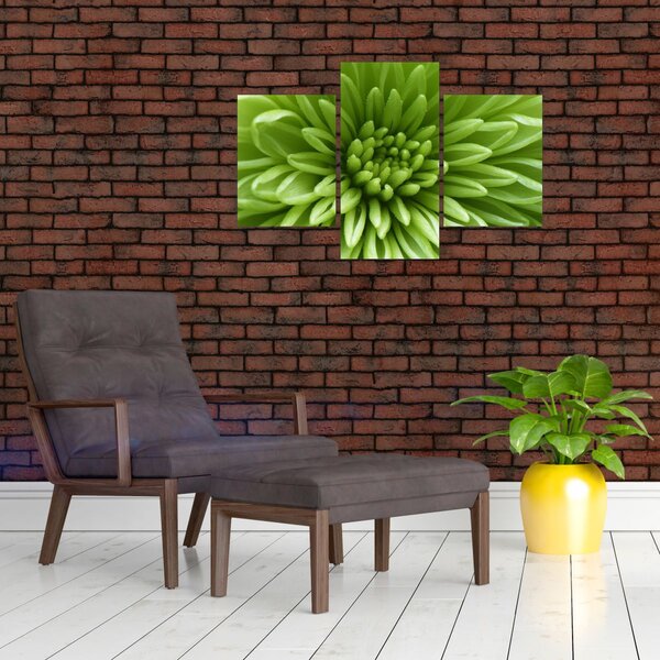 Slika - Makro slika biljke (90x60 cm)