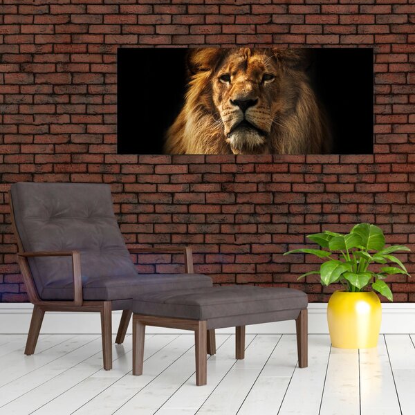 Slika - Lav s bujnom grivom (120x50 cm)
