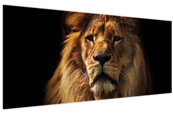 Slika - Lav s bujnom grivom (120x50 cm)
