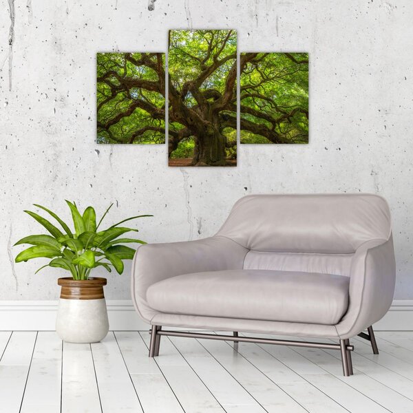 Slika - Zeleno stablo (90x60 cm)
