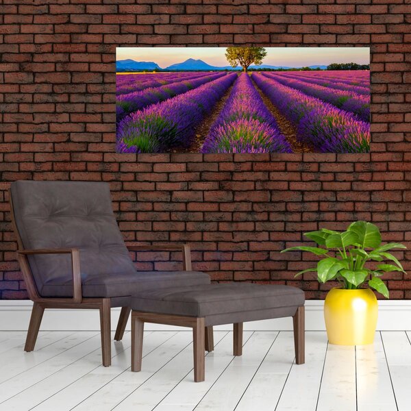Slika - Polje lavande (120x50 cm)