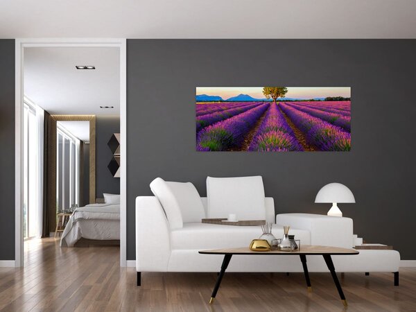 Slika - Polje lavande (120x50 cm)