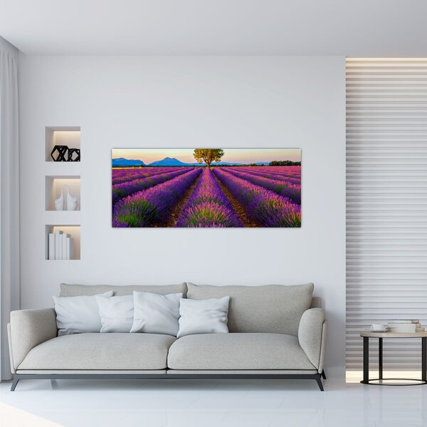 Slika - Polje lavande (120x50 cm)