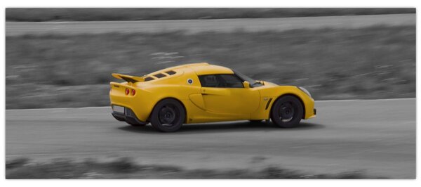 Slika - Brz auto (120x50 cm)