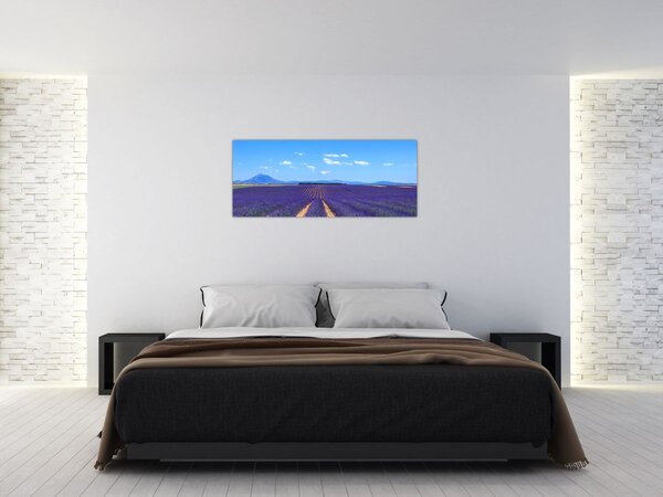 Slika - Polje lavande (120x50 cm)
