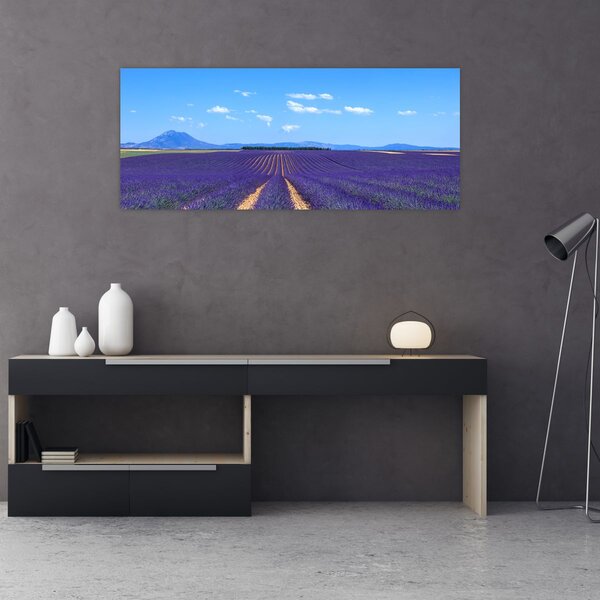 Slika - Polje lavande (120x50 cm)