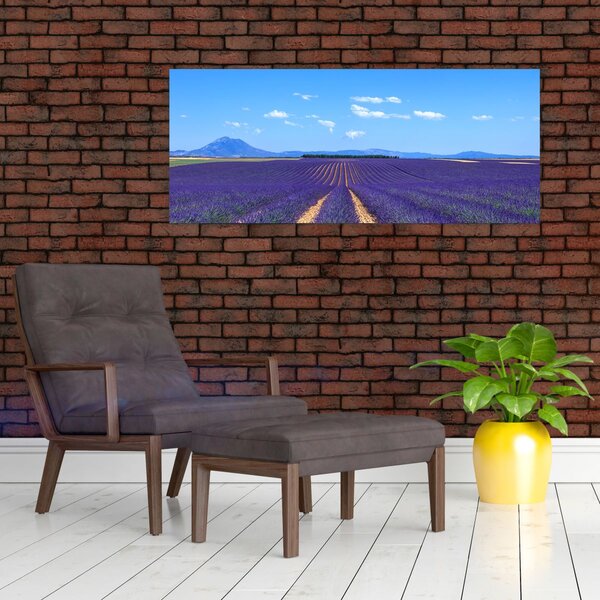 Slika - Polje lavande (120x50 cm)