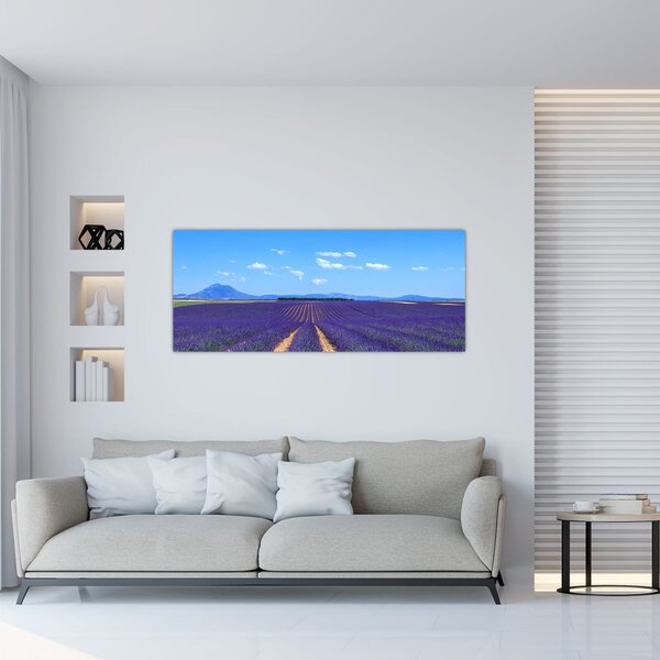 Slika - Polje lavande (120x50 cm)