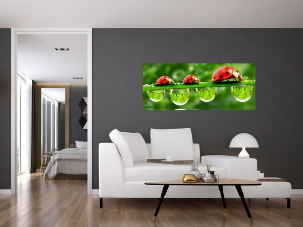 Slika - Sunčev sjaj sedam sunaca (120x50 cm)