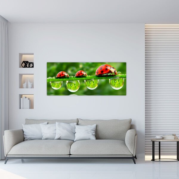 Slika - Sunčev sjaj sedam sunaca (120x50 cm)