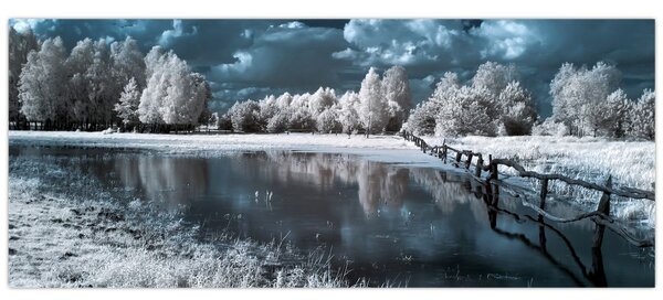 Slika - Smrznuti krajolik (120x50 cm)