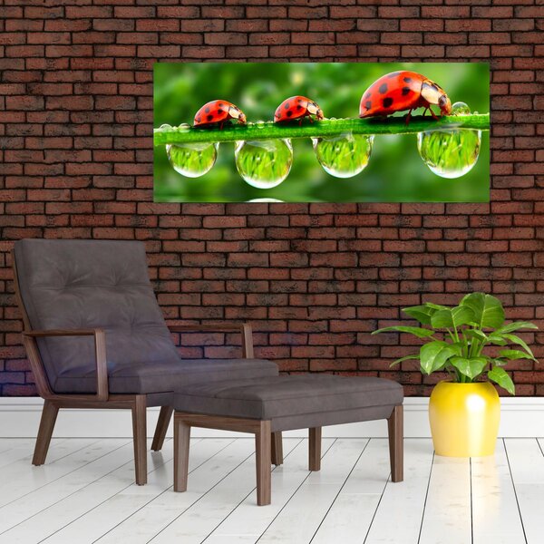 Slika - Sunčev sjaj sedam sunaca (120x50 cm)