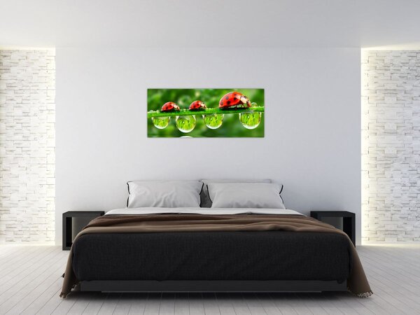 Slika - Sunčev sjaj sedam sunaca (120x50 cm)