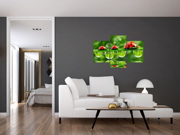 Slika - Sunčev sjaj sedam sunaca (90x60 cm)
