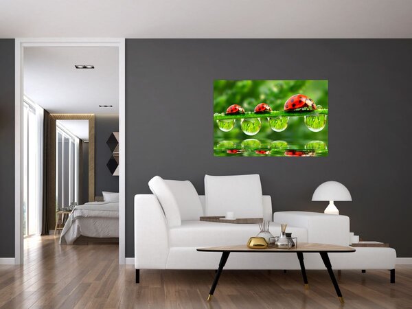 Slika - Sunčev sjaj sedam sunaca (90x60 cm)