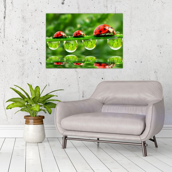 Slika - Sunčev sjaj sedam sunaca (70x50 cm)
